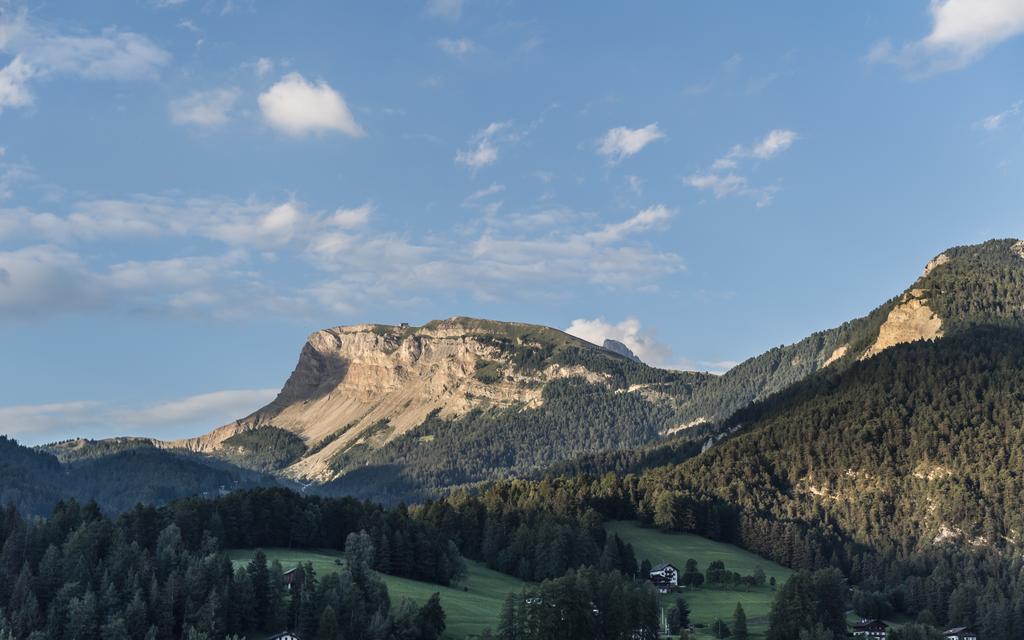 ホテル Rainell Dolomites Retreat オルティゼーイ エクステリア 写真